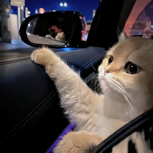 中国农村妇女内谢
