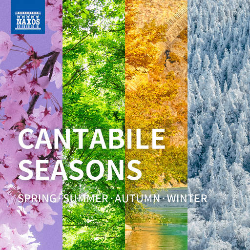 中国农村妇女内谢
